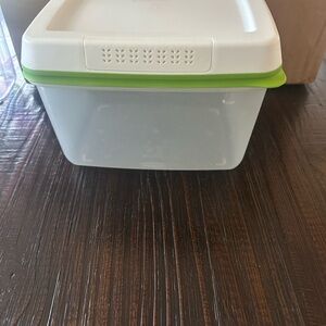 Rubbermaid White and Green Food Storage Container